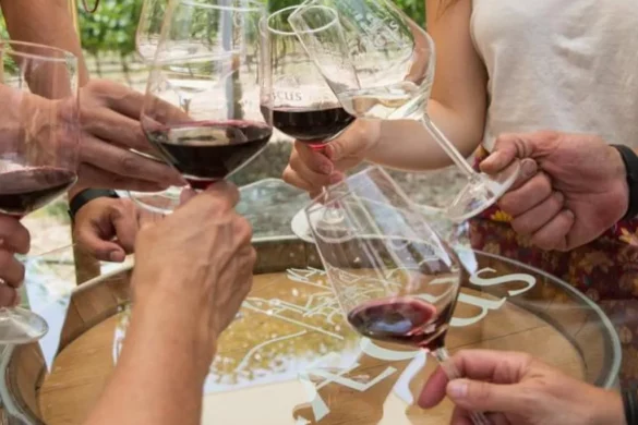 Cata en la Viña Bodega Pago de Larrea