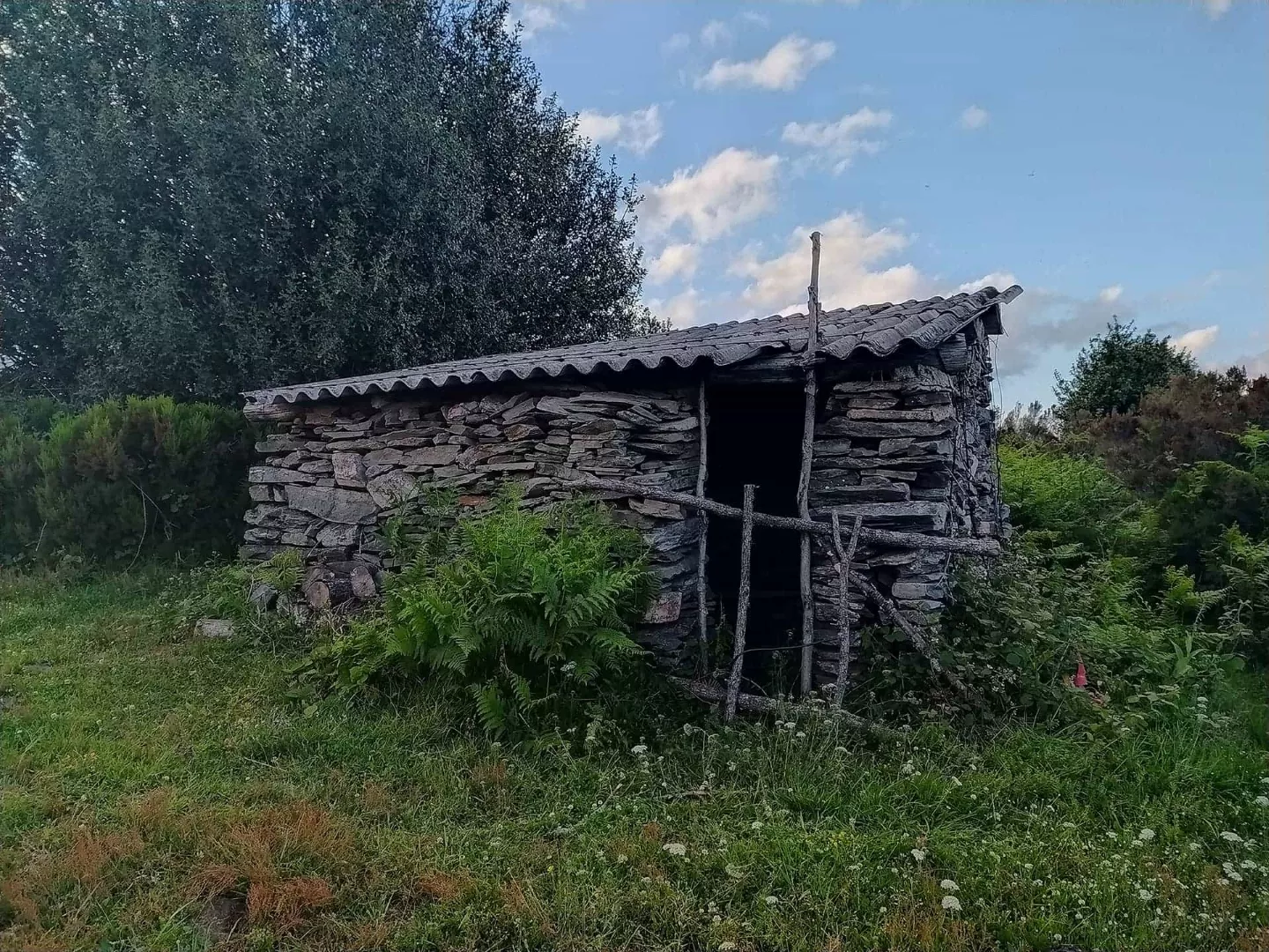 Ruta Entre Montañas y Sabores - Imagen 6
